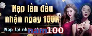 nam100